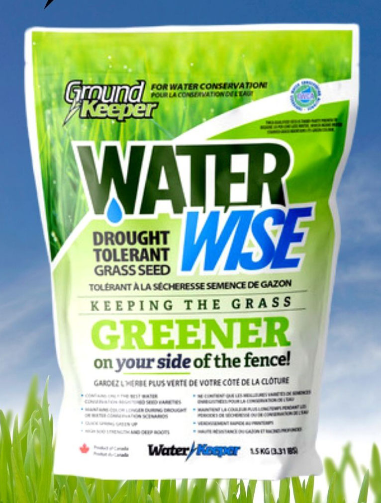 GroundKeeper - WaterWise Grass Seed