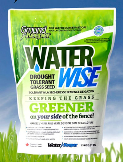 WaterWise Grass Seed