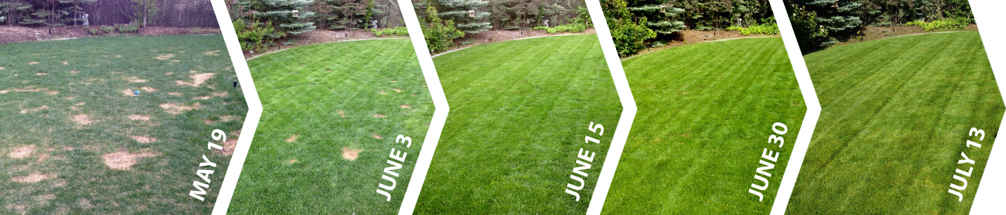 GroundKeeper - Get the 'Green Lawn' Bragging Rights